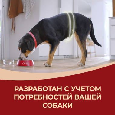 Сухой корм Purina ONE® полнорационный для взрослых собак средних и крупных пород, с высоким содержанием ягненка и рисом