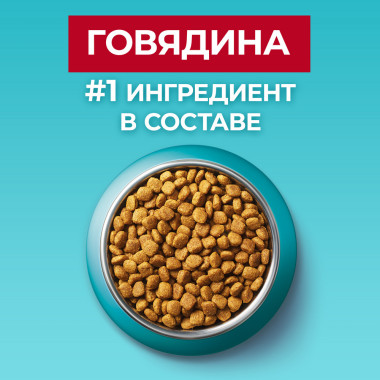 Сухой корм Purina ONE® полнорационный для взрослых кошек, с высоким содержанием говядины