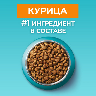 Сухой корм Purina ONE® полнорационный для стерилизованных кошек и кастрированных котов, живущих в домашних условиях