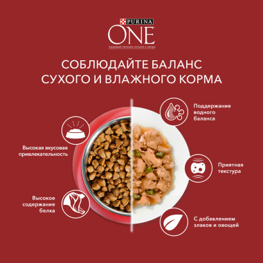 Влажный корм Purina ONE® МИНИ <10 кг для взрослых собак мелких пород старше 1 года, с курицей, морковью и зеленой фасолью