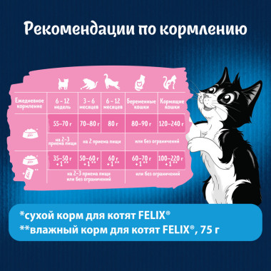 Сухой корм Purina ONE® полнорационный для котят, с высоким содержанием курицы