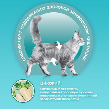 Сухой корм Purina ONE® полнорационный для взрослых кошек с чувствительным пищеварением и разборчивым вкусом в еде