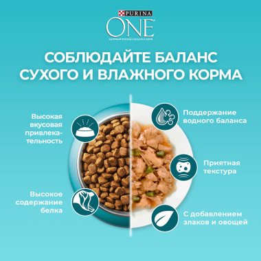 Сухой корм Purina ONE® полнорационный для взрослых кошек с чувствительным пищеварением и разборчивым вкусом в еде, с высоким