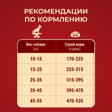 Сухой корм Purina ONE® полнорационный для взрослых собак средних и крупных пород, с высоким содержанием ягненка и рисом