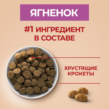 Сухой корм Purina ONE® полнорационный для взрослых собак средних и крупных пород, с высоким содержанием ягненка и рисом