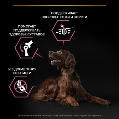 Сухой корм PRO PLAN® для взрослых собак крупных пород с атлетическим телосложением с чувствительной кожей, с высоким содержан