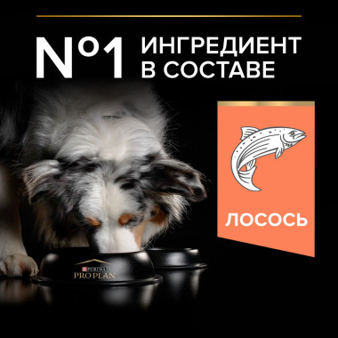 Сухой корм PRO PLAN® DUO DELICE для взрослых собак средних и крупных пород с чувствительной кожей, с высоким содержанием лосо