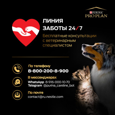 Корм консервированный полнорационный для взрослых стерилизованных кошек и кастрированных котов, нежные кусочки с уткой, в соу
