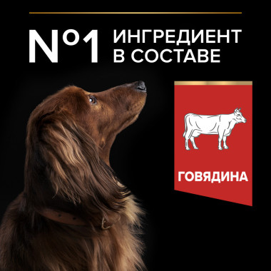 Сухой корм PRO PLAN® DUO DELICE для взрослых собак мелких и карликовых пород, с высоким содержанием говядины