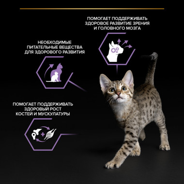 Влажный корм PRO PLAN® Nutri Savour для котят, с говядиной в соусе