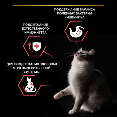 Сухой корм PRO PLAN® Nature Elements для взрослых стерилизованных кошек и кастрированных котов, с высоким содержанием курицы