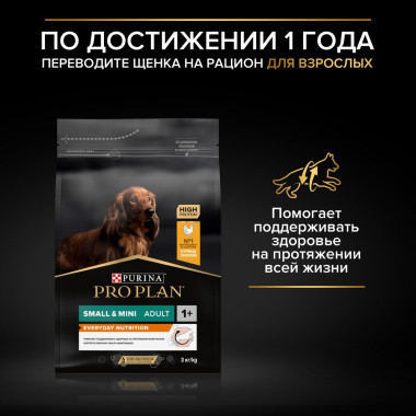 NSTL_157694_1000_1000_True_True_FFFFFFFF