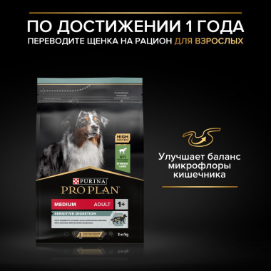 NSTL_163074_1000_1000_True_True_FFFFFFFF