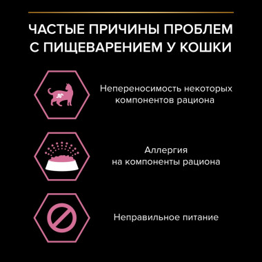 NSTL_163321_1000_1000_True_True_FFFFFFFF