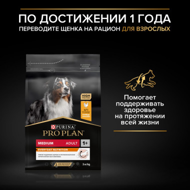 NSTL_169205_1000_1000_True_True_FFFFFFFF