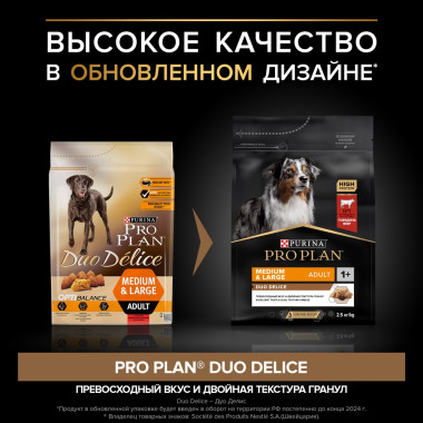 NSTL_171127_1000_1000_True_True_FFFFFFFF
