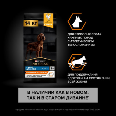 NSTL_173858_1000_1000_True_True_FFFFFFFF