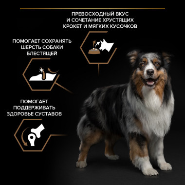 Сухой корм PRO PLAN® DUO DELICE для взрослых собак средних и крупных пород с чувствительной кожей, с высоким содержанием лосо