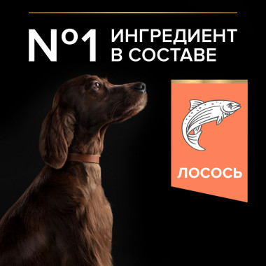 Сухой корм PRO PLAN® для взрослых собак крупных пород с атлетическим телосложением с чувствительной кожей, с высоким содержан
