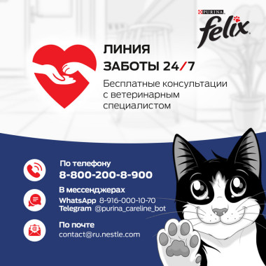 FELIX® Мясные Ломтики, Корм консервированный полнорационный для взрослых кошек, с говядиной 75г