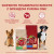 Сухой корм Purina ONE® для взрослых собак средних и крупных пород, с высоким содержанием говядины и с рисом
