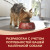 Сухой корм Purina ONE МИНИ Активная для собак мелких пород, с высоким содержанием курицы и с рисом