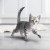 Сухой корм Purina ONE® полнорационный для котят, с высоким содержанием курицы