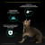NSTL_158477_1000_1000_True_True_FFFFFFFF