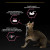 NSTL_159239_1000_1000_True_True_FFFFFFFF