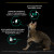 NSTL_160258_1000_1000_True_True_FFFFFFFF.PNG 