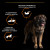 NSTL_170620_1000_1000_True_True_FFFFFFFF