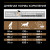 NSTL_171125_1000_1000_True_True_FFFFFFFF