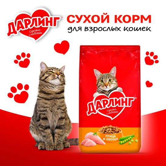 О бренде ДАРЛИНГ для кошек - Обзор сухих и влажных кормов