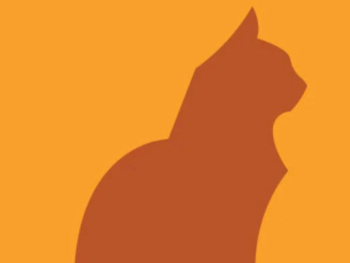Опасные болезни кошек