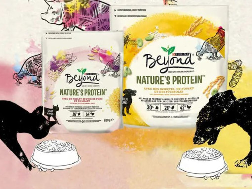 Beyond® Nature’s Protein