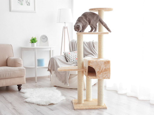 кошка на игровом комплексе