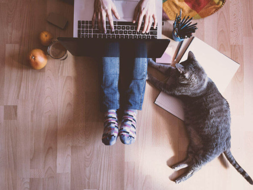 кошка рядом с работающим хозяином