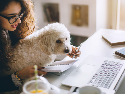 Woman working on laptop and holding dog