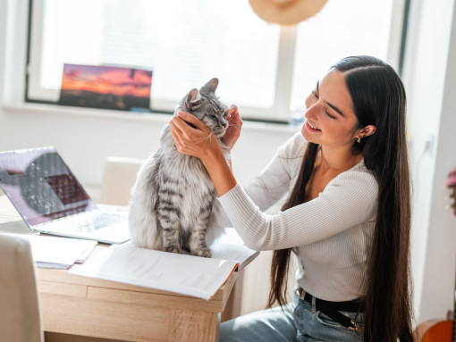 Businesswoman pets dog sitting on her lap
